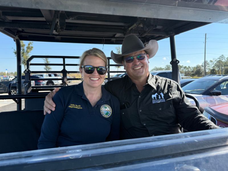 6 McCormick Clay Classics