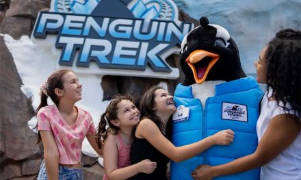 SeaWorld Orlando Kicks Off Just for Kids Weekend This Saturday and Sunday With Family Fun Across the Park
