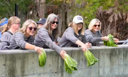 SeaWorld Orlando Receives Fresh Lettuce Donation from Duda Farms to Boost Care for Rescued Manatees