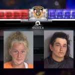 24 Dogs, Including Puppies, Rescued From Unsafe Vehicle in Kissimmee Animal Cruelty Investigation