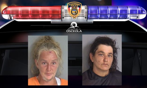 24 Dogs, Including Puppies, Rescued From Unsafe Vehicle in Kissimmee Animal Cruelty Investigation