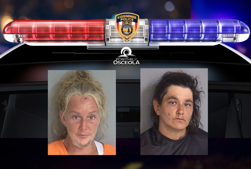 24 Dogs, Including Puppies, Rescued From Unsafe Vehicle in Kissimmee Animal Cruelty Investigation