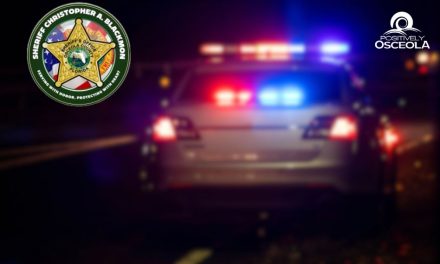 Woman Reports Ex-Boyfriend Chased and Shot at Her Before Crash on U.S. 192; Suspect Arrested