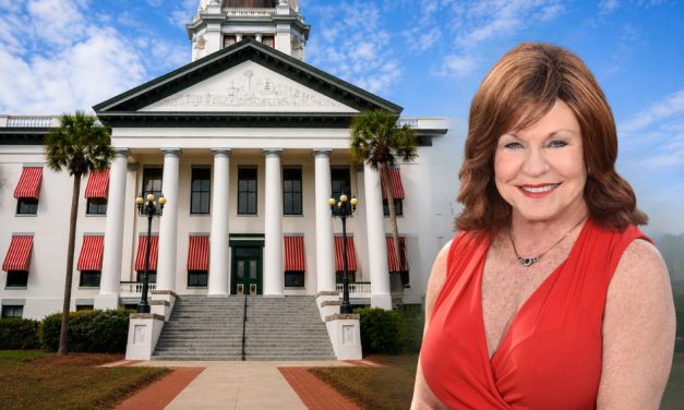 Rep. Paula Stark Fails to Qualify for Re-Election in House District 47