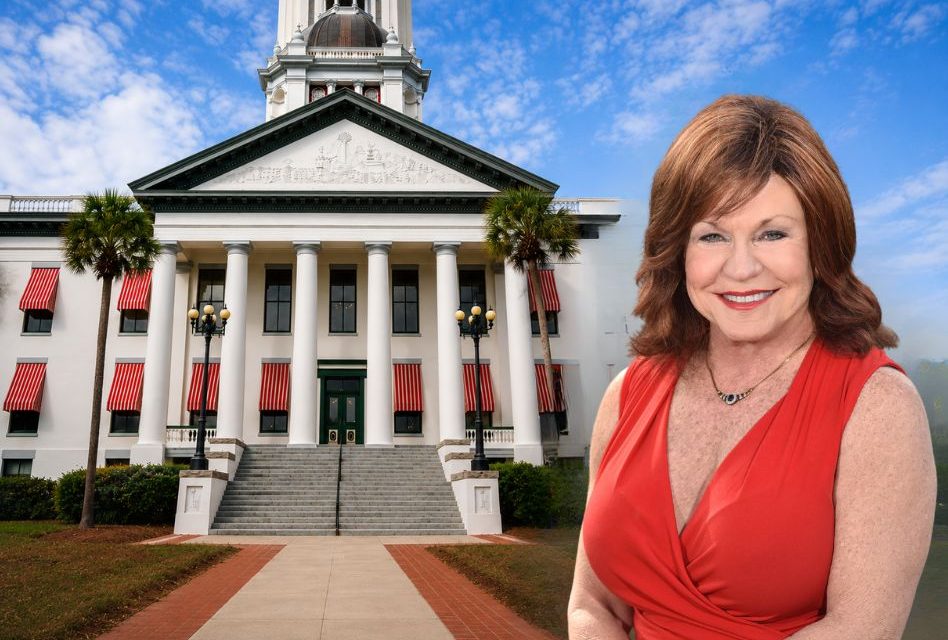 Rep. Paula Stark Fails to Qualify for Re-Election in House District 47