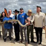 Florida Python Challenge Kicks Off July 10, Offering $25,000 in Prizes for Invasive Snake Removal; Registration Now Open