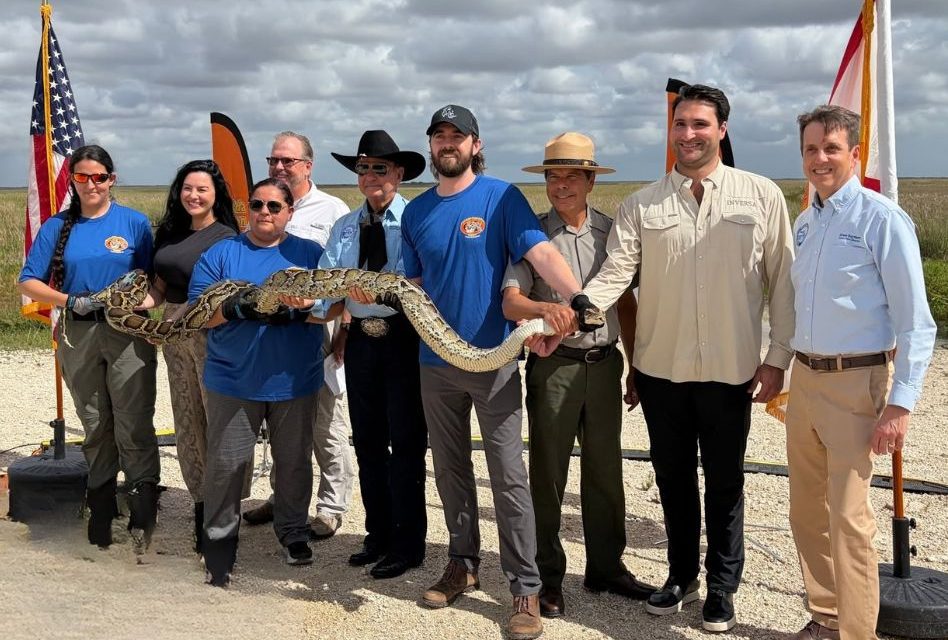 Florida Python Challenge Kicks Off July 10, Offering $25,000 in Prizes for Invasive Snake Removal; Registration Now Open