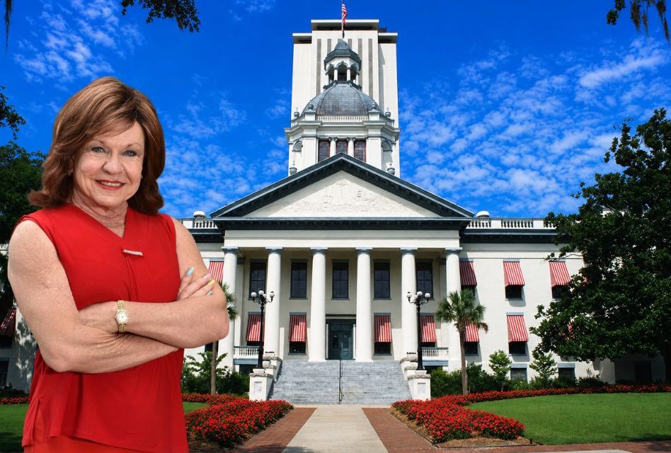 Paula Stark Addresses Re-Election Qualification Dispute, Says Commitment to District 47 Remains Unchanged