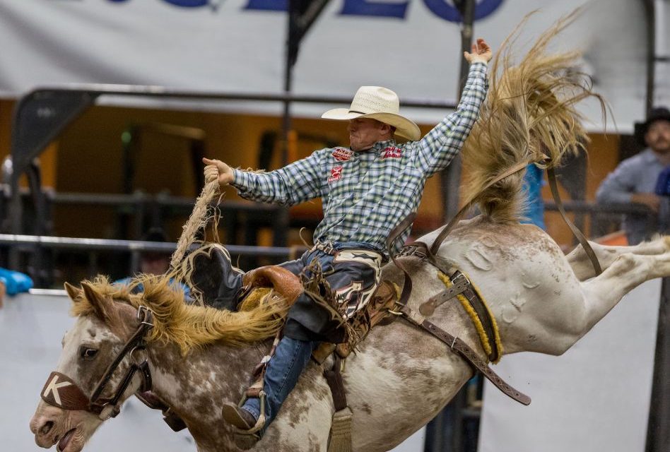 Saddle Bronc Riding: Rodeo’s Classic Test of Courage Returns for Final Night of the 157th Silver Spurs Rodeo