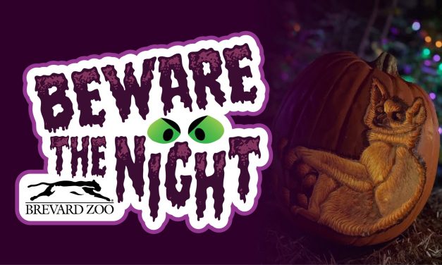 Beware The Night — Brevard Zoo