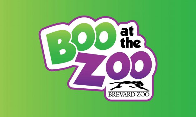 Boo at the Zoo