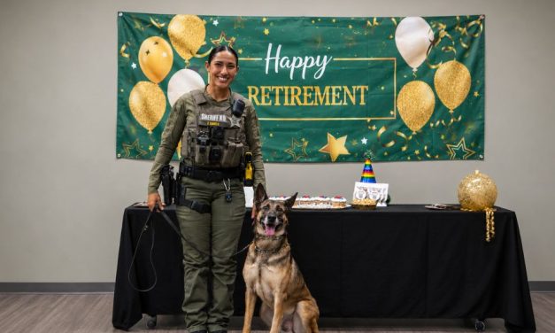 Retired Osceola Sheriff’s K9 Recon to Live Out Retirement at K9 Rescue