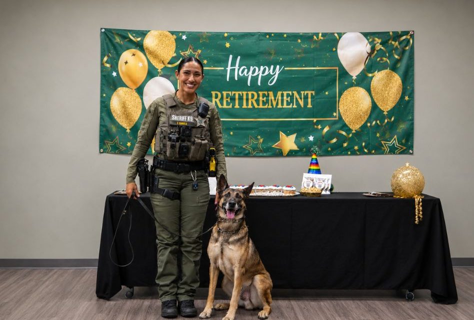 Retired Osceola Sheriff’s K9 Recon to Live Out Retirement at K9 Rescue