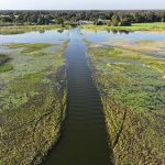 $3.5 Million State Investment to Target Boggy Creek Shoals, Invasive Vegetation in Osceola County