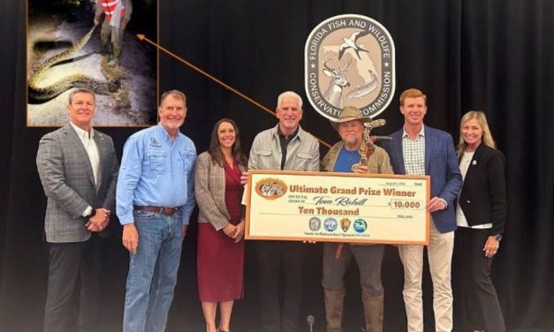 Florida Python Challenge Removes 280 Invasive Burmese Pythons During 2026 Competition