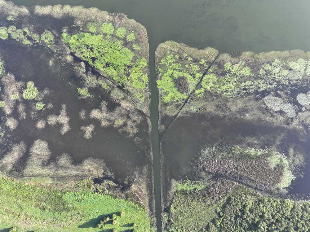 Shoal2 Boggy Creek Shoal