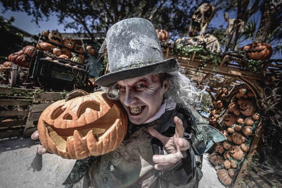 Wicked-Jack-and-Pumpkins1-1200x800 Gators Goblins