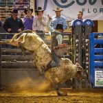 More Than a Rodeo: Silver Spurs Club Carries Osceola’s Western Heritage Into a New Generation