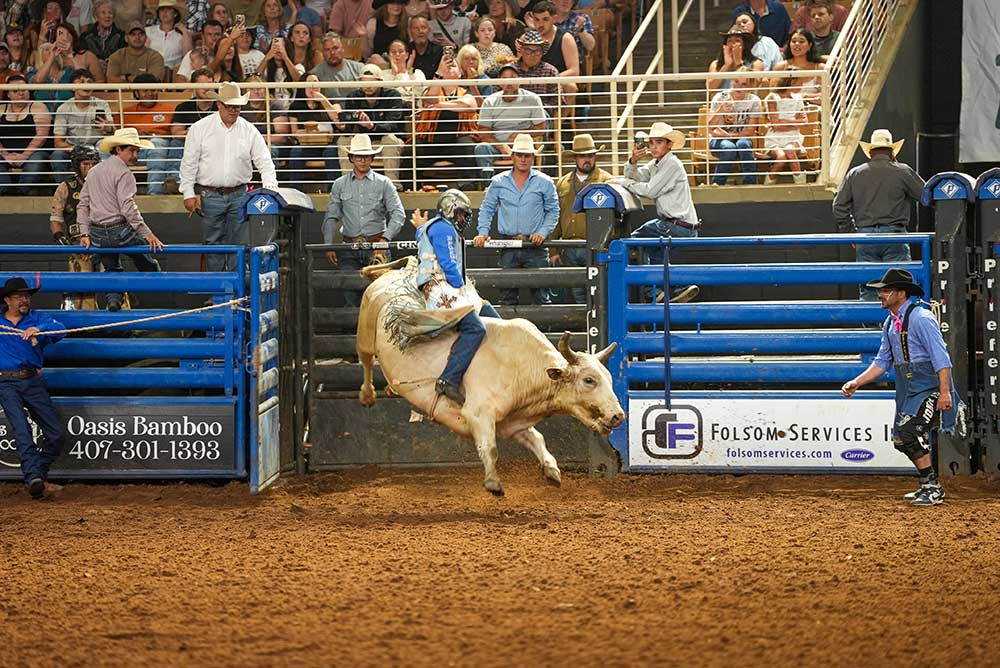 DSC09776 Boot Bulls and Barrels